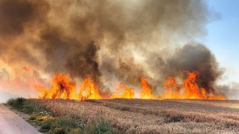 fires burning in Israel caused by palestinian arson
